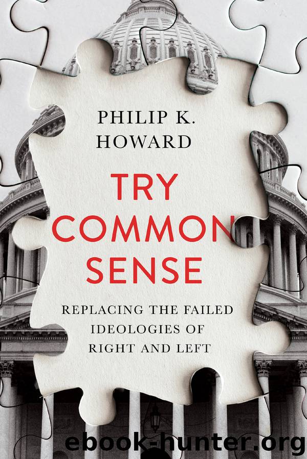 Try Common Sense by Philip K. Howard