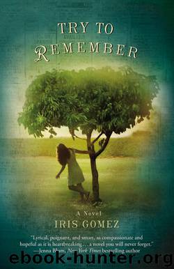 Try to Remember by Iris Gomez