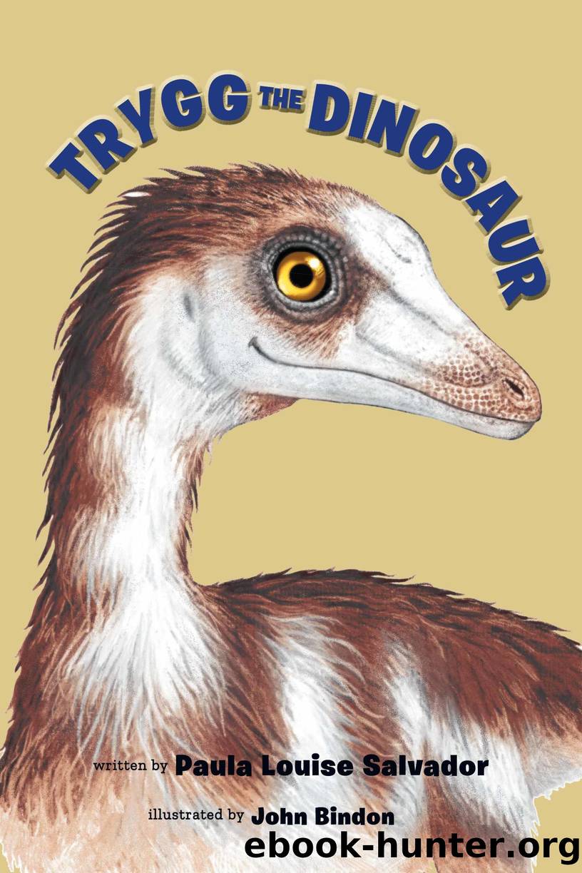 Trygg the Dinosaur by Paula Louise Salvador