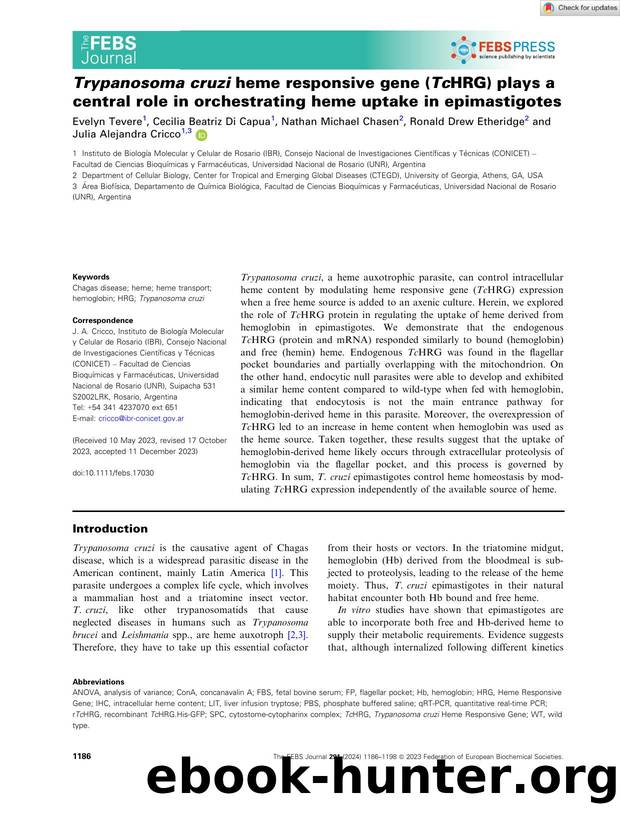 Trypanosoma cruzi heme responsive gene (TcHRG) plays a central role in orchestrating heme uptake in epimastigotes by Unknown