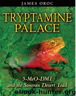 Tryptamine Palace by James Oroc