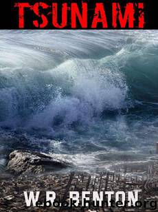 Tsunami by Benton W.R