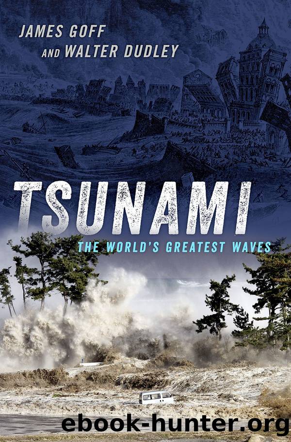 Tsunami by James Goff and Walter Dudley