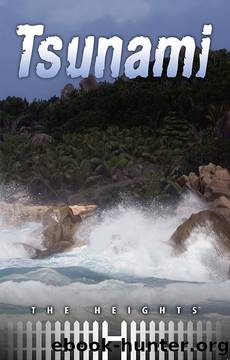 Tsunami by Saddleback Educational Publishing