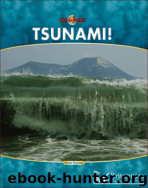 Tsunami! by Anne Rooney