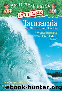 Tsunamis and Other Natural Disasters by Mary Pope Osborne