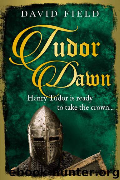 Tudor Dawn: Henry Tudor is ready to take the crown... (The Tudor Saga Series Book 1) by David Field