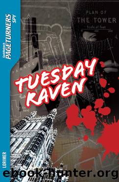 Tuesday Raven by Janet Lorimer