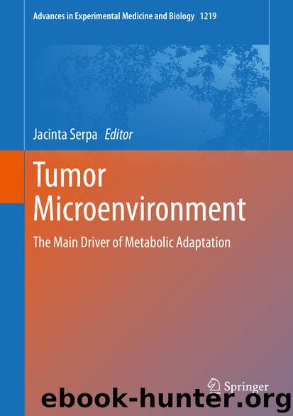 Tumor Microenvironment by Jacinta Serpa