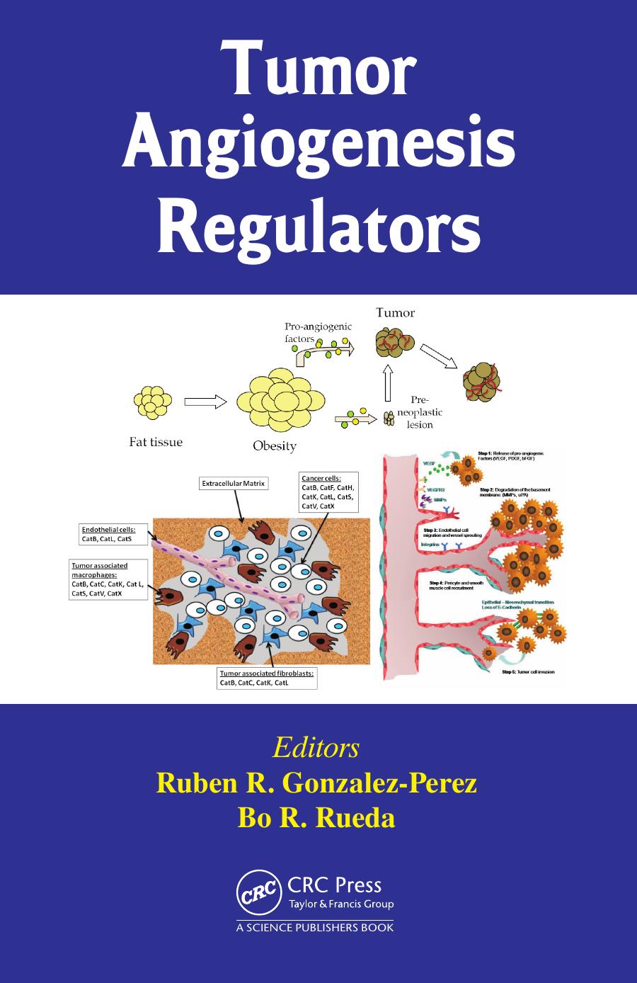 Tumor angiogenesis regulators by Ruben R Gonzalez-Perez; Bo R Rueda
