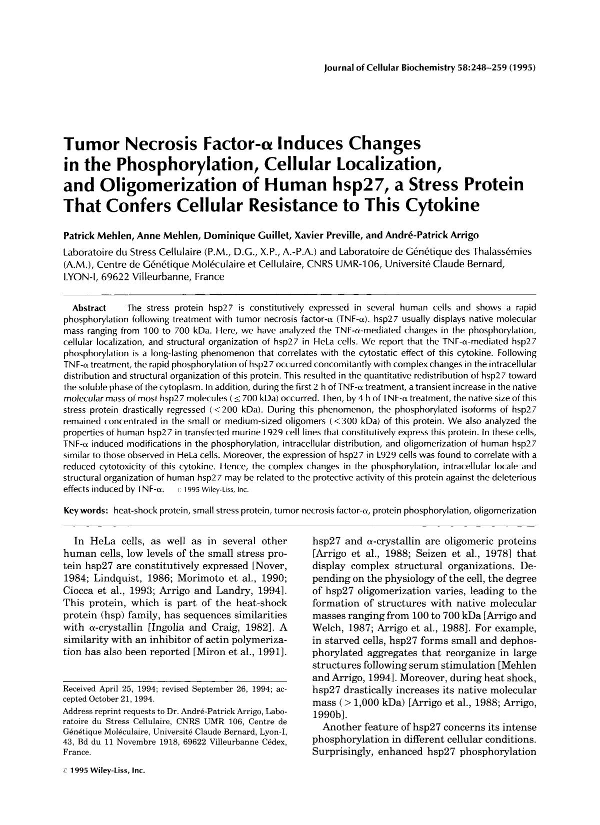 Tumor necrosis factor-[alpha] induces changes in the phosphorylation, cellular localization, and oligomerization of human hsp27, a stress protein that confers cellular resistance to this cytokine by Unknown