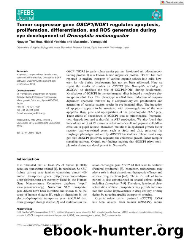 Tumor suppressor gene OSCP1NOR1 regulates apoptosis, proliferation, differentiation, and ROS generation during eye development of Drosophila melanogaster by Unknown
