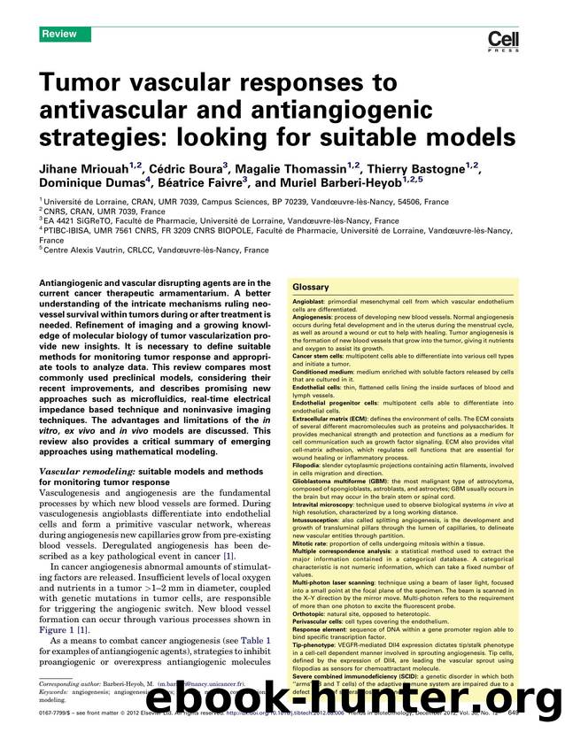 Tumor vascular responses to antivascular and antiangiogenic strategies: looking for suitable models by Jihane Mriouah