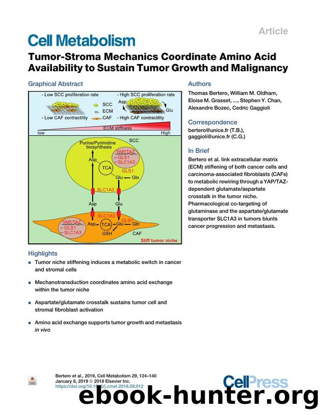 Tumor-Stroma Mechanics Coordinate Amino Acid Availability to Sustain Tumor Growth and Malignancy by unknow