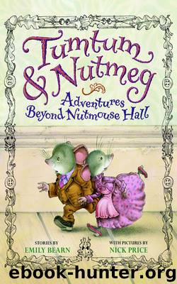 Tumtum & Nutmeg: Adventures Beyond Nutmouse Hall by Emily Bearn & Nick Price