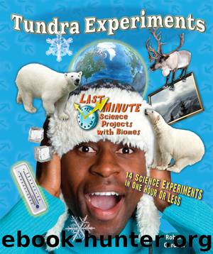 Tundra Experiments by Robert Gardner