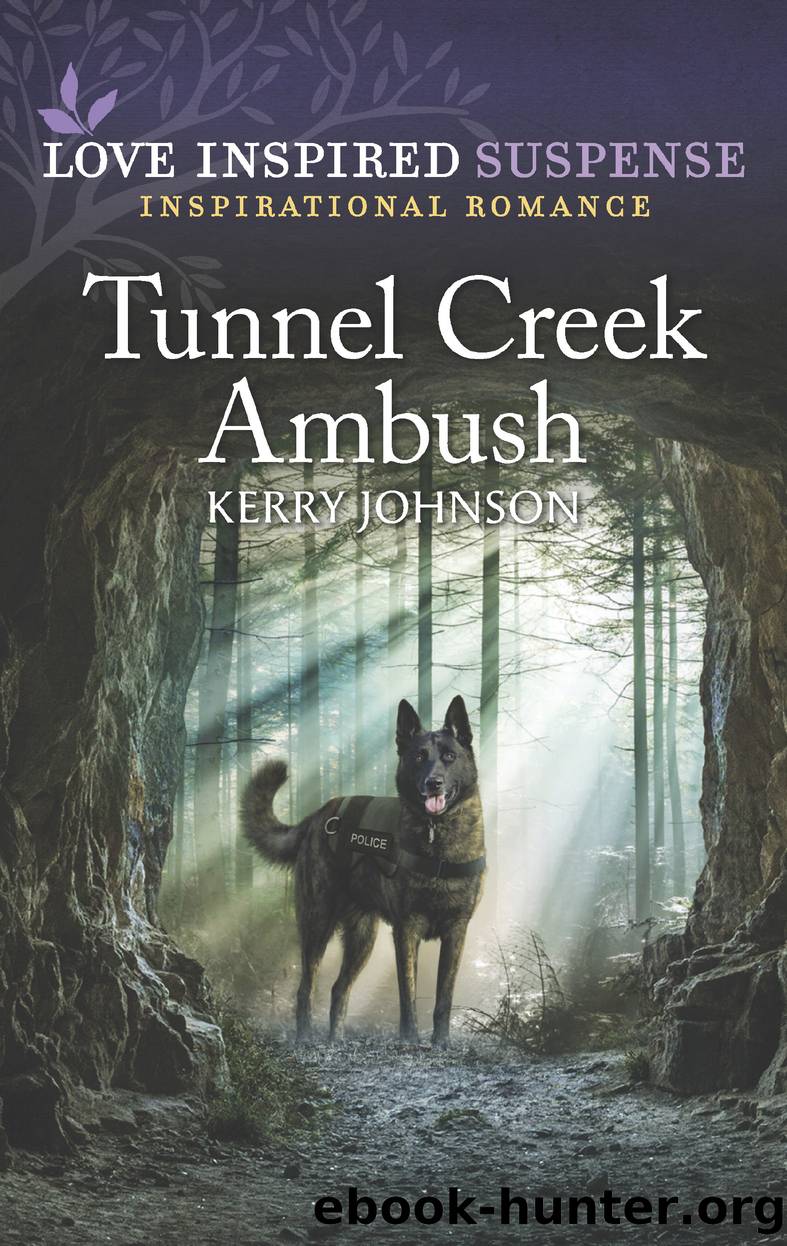 Tunnel Creek Ambush by Kerry Johnson