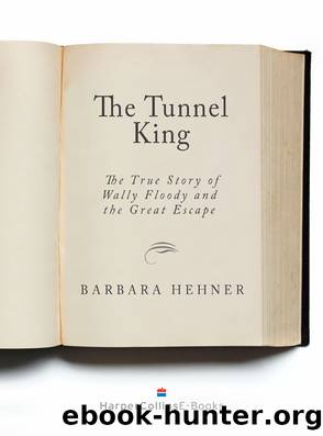Tunnel King by Barbara Hehner