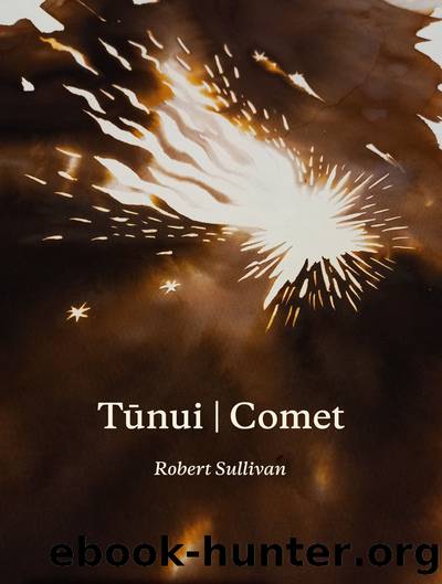 Tunui | Comet by Robert Sullivan