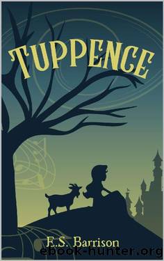 Tuppence: A Fairy Tale Retelling by E.S. Barrison