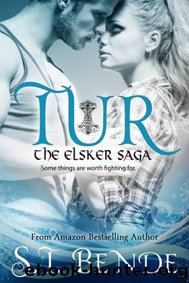 Tur - An Elsker Saga Novella by ST Bende