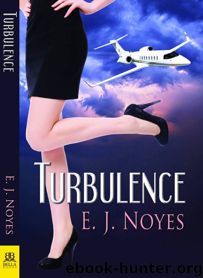 Turbulence by E.J. Noyes