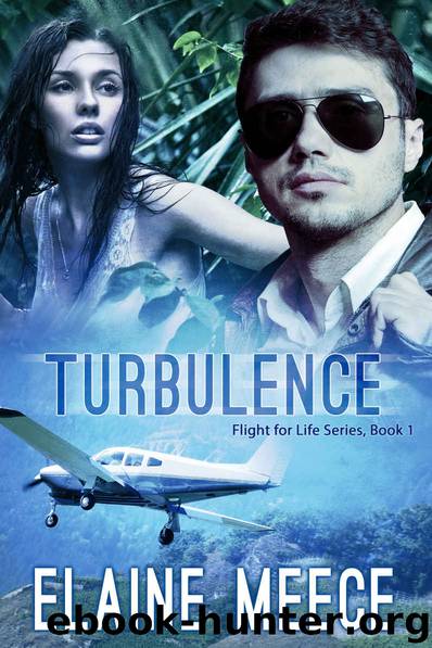 Turbulence by Elaine Meece