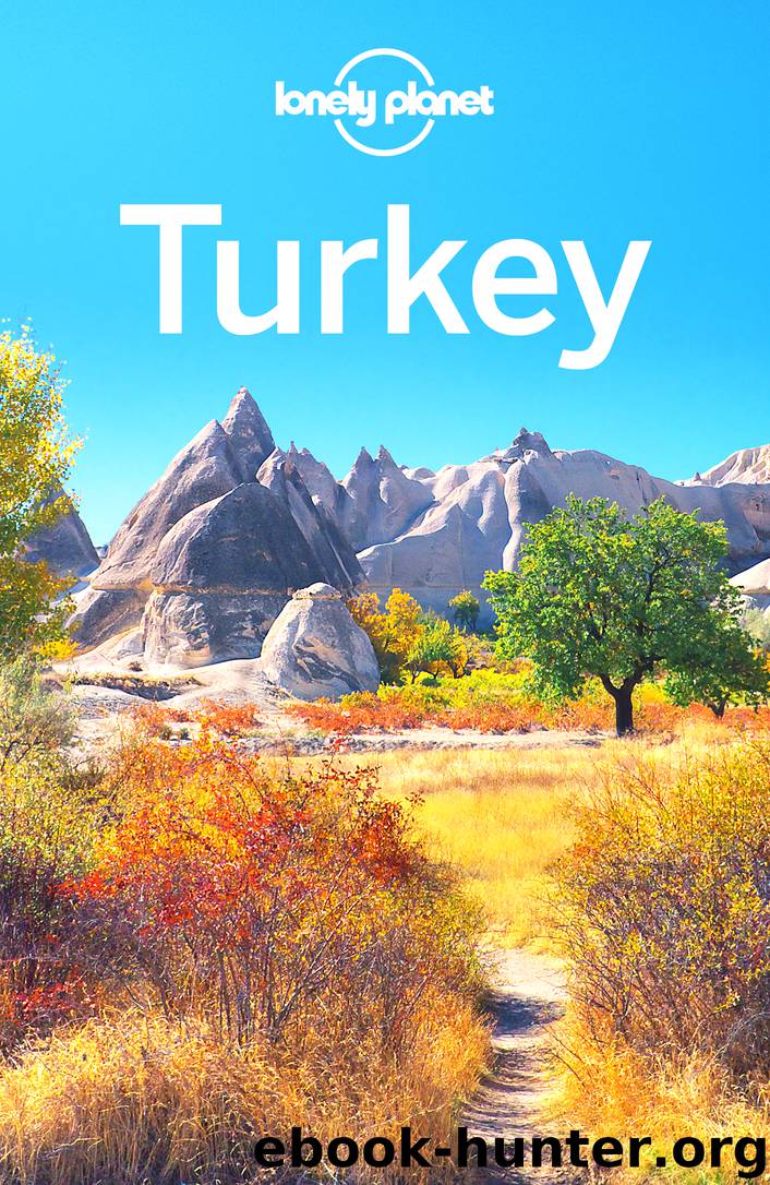 Turkey Travel Guide by Lonely Planet