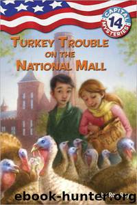 Turkey Trouble on the National Mall by Ron Roy