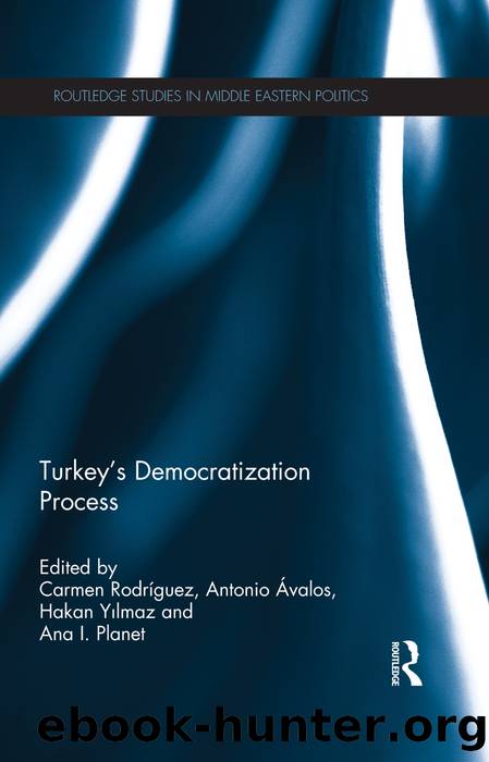 Turkey's Democratization Process by unknow