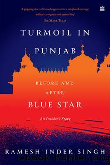 Turmoil In Punjab by Ramesh Inder Singh