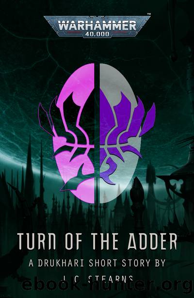 Turn of the Adder by J C Stearns