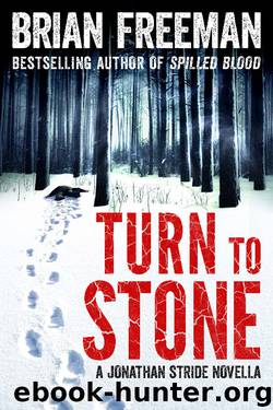 Turn to Stone (novella) by Brian Freeman