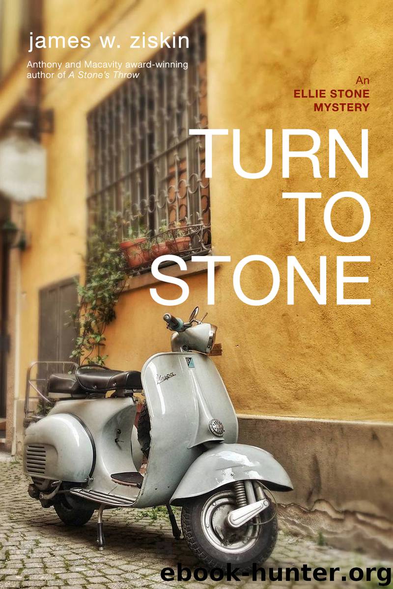 Turn to Stone by James W. Ziskin