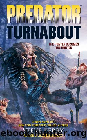 Turnabout by Steve Perry