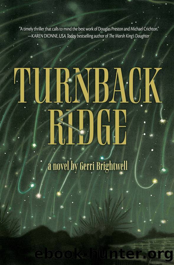Turnback Ridge by Gerri Brightwell