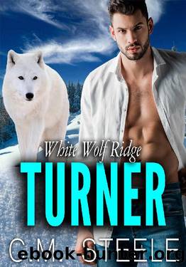 Turner by C.M. Steele