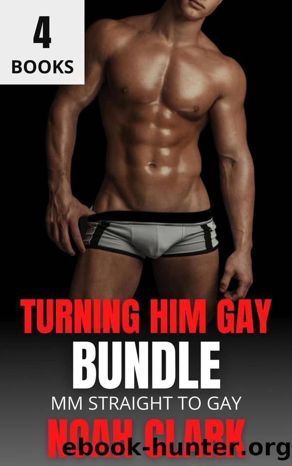 Turning Him Gay: 4 Story Bundle Straight to Gay MM by Noah Clark