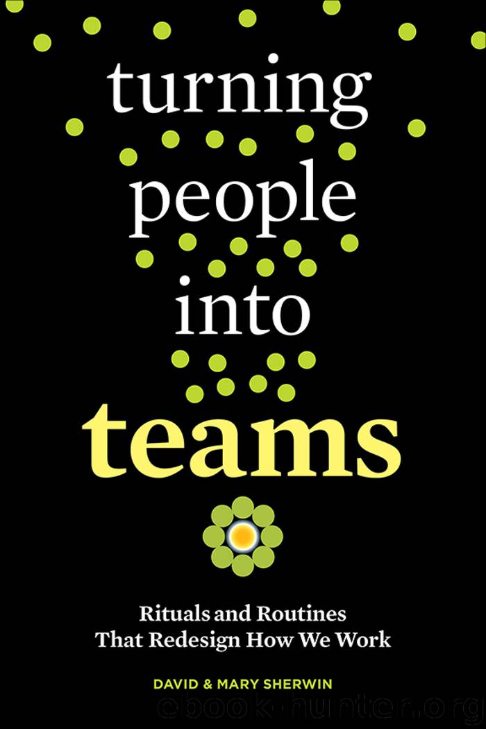 Turning People into Teams by David Sherwin