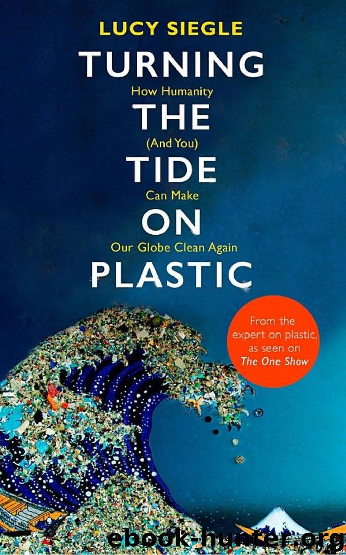 Turning the Tide on Plastic: How Humanity (And You) Can Make Our Globe Clean Again by Lucy Siegle