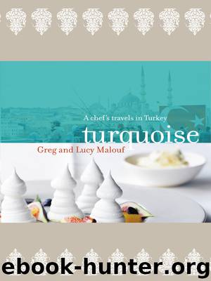 Turquoise by Greg Malouf