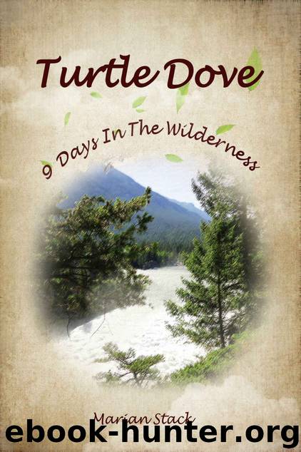 Turtle Dove: A Lesbian Romance by Marian Stack