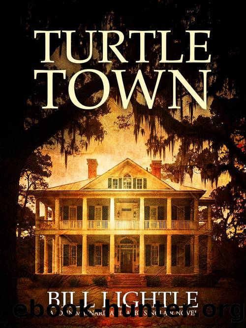 Turtle Town by Bill Lightle