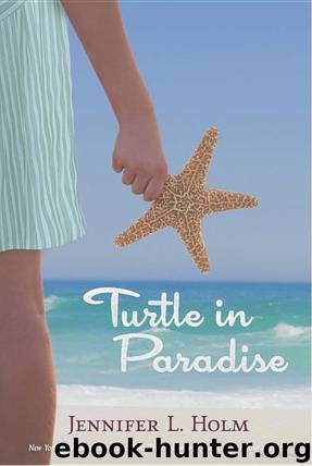Turtle in Paradise by Holm Jennifer L
