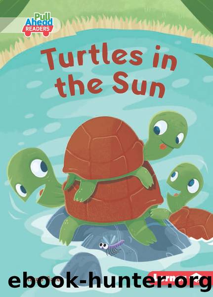 Turtles in the Sun by Margo Gates