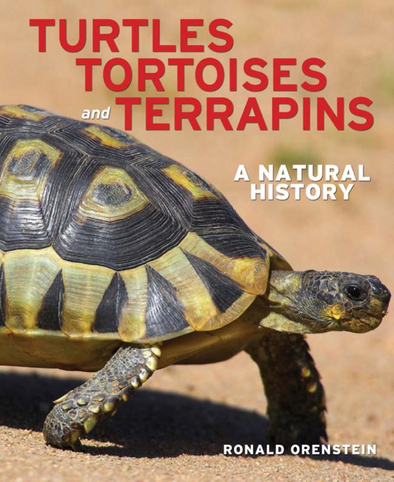 Turtles, tortoises and terrapins :A Natural History by Ronald Isaac Orenstein