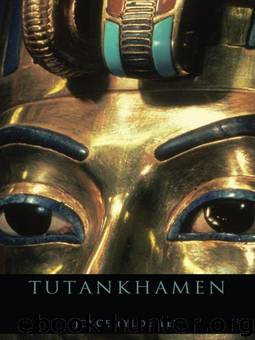 Tutankhamen: The Search for an Egyptian King by Tyldesley Joyce
