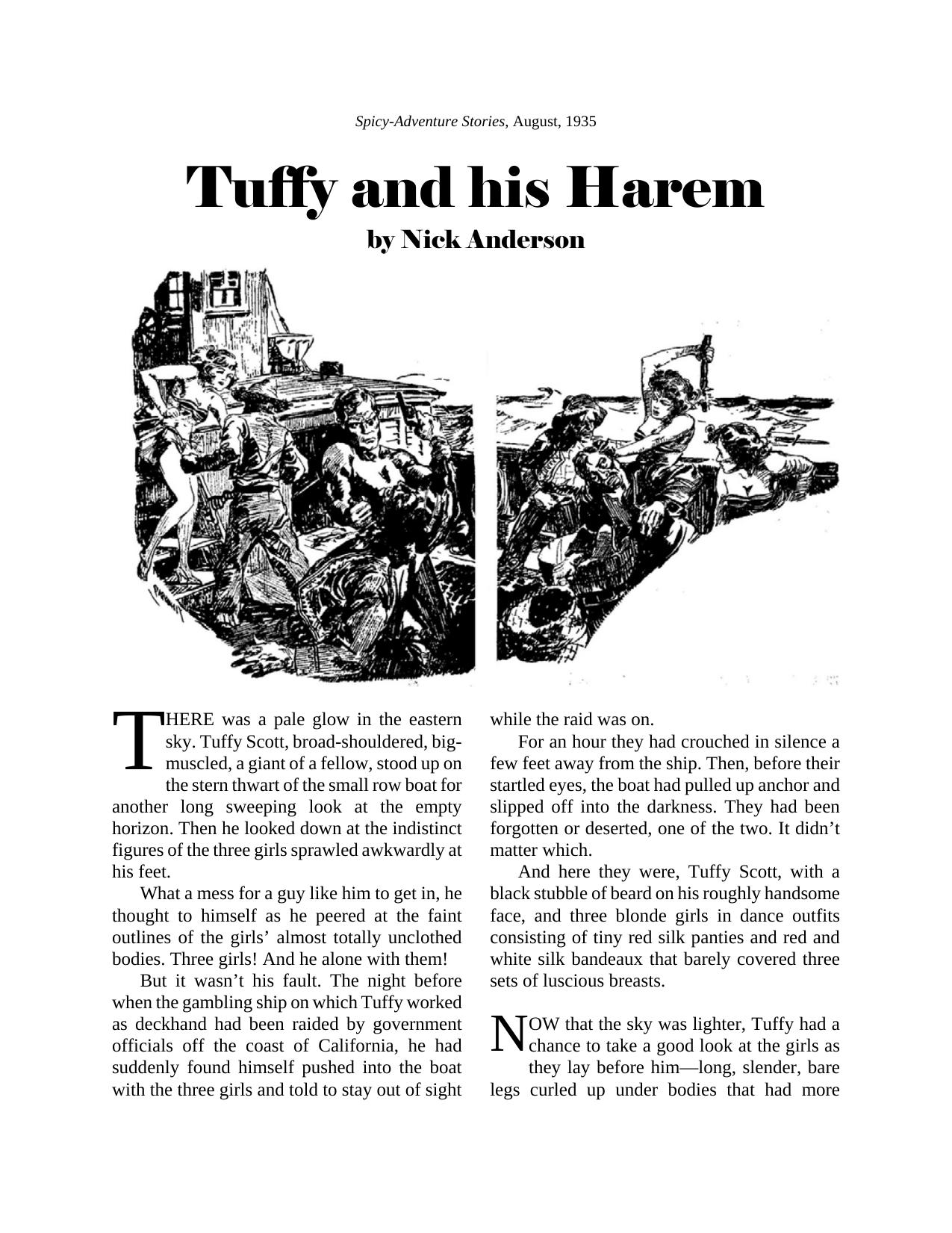 Tuuffy and his Harem by Unknown