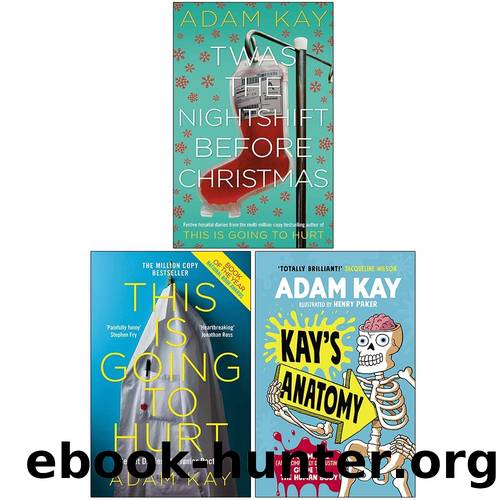Twas the Nightshift Before Christmas  This Is Going to Hurt Secret Diaries of a Junior Doctor  Kayâs Anatomy by Kay Adam