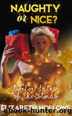 Twelve Dates of Christmas by Elizabeth Hollows